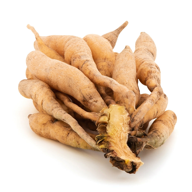 Shatawari Root